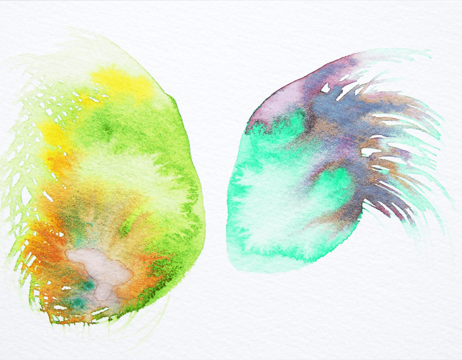 Abstract watercolour blooms in green, yellow and turquoise.