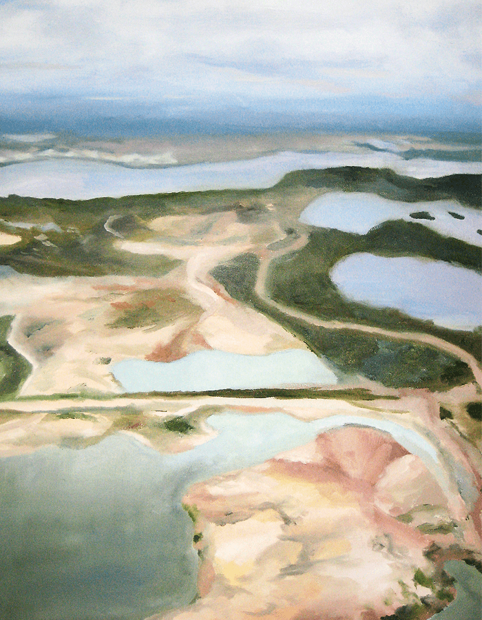 Aerial view of a pale estuary threaded with sandbars and green marsh.