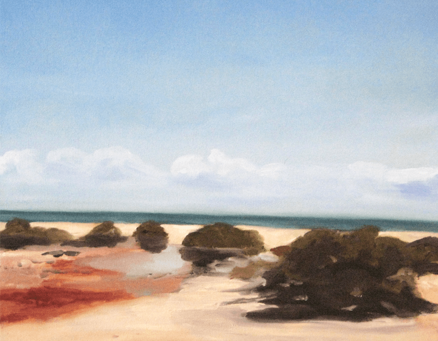 Muted beach scattered with dark rocks under a pale overcast sky.