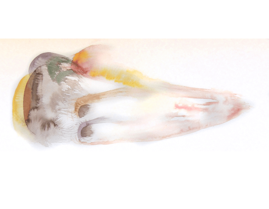 Soft blurred abstract in cream and grey.