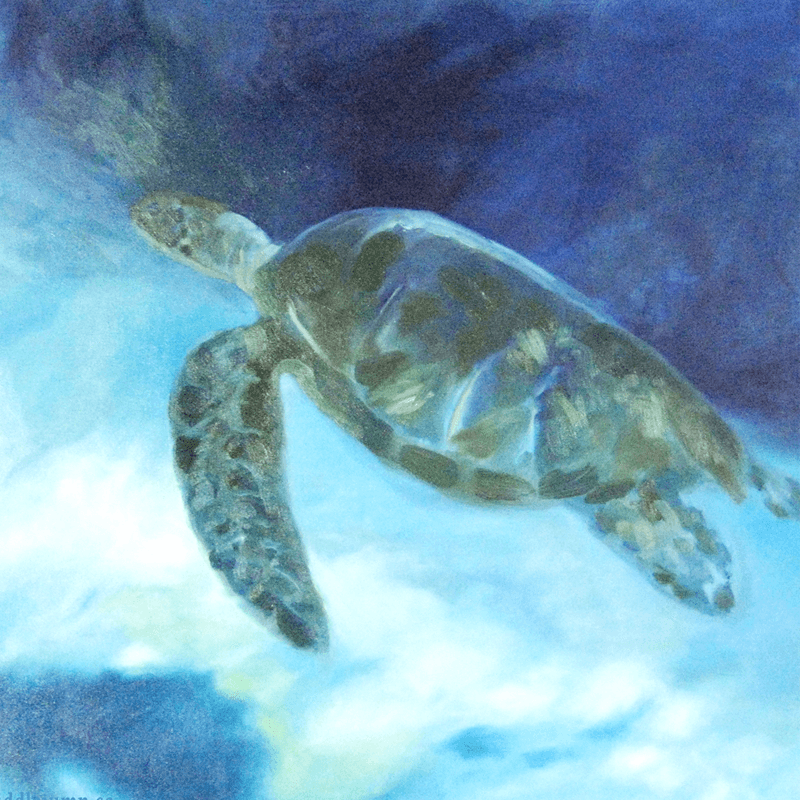 Sea turtle gliding through deep blue water.