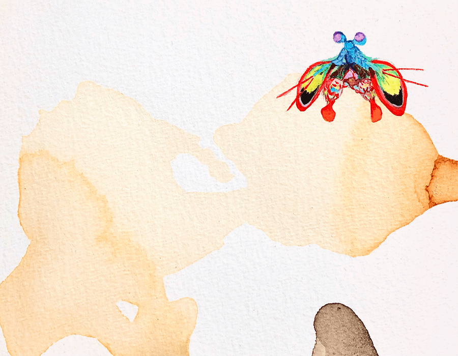 Coffee-wash abstract with a brightly coloured insect at its centre.
