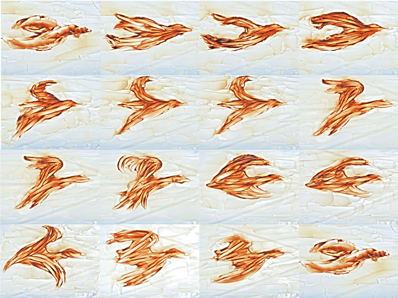 Grid of hand-painted animation frames, each showing a bird in flight in orange on pale blue.