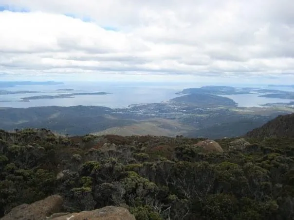 View from a Tasmanian hilltop over dense green forest towards a distant range under heavy cloud.